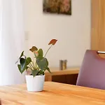 아파트 Beim Imker 모싱겐