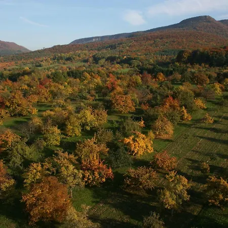 Beim Imker * Mössingen