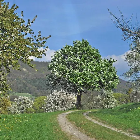 Lägenhet Beim Imker Mössingen
