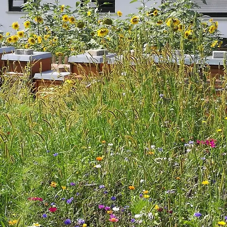 Apartment Beim Imker Moessingen