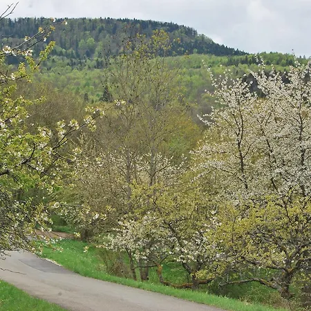 Apartamento Beim Imker Mössingen